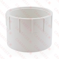 4" PVC DWV Female Adapter
