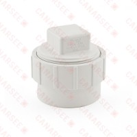 2" PVC DWV Cleanout Adapter (Spigot) w/ Plug