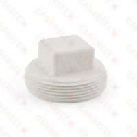 2" PVC DWV Cleanout Plug
