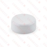 1-1/2" PVC DWV Cap