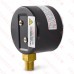 0-10 psi Pressure Gauge, 2-1/2" Dial, 1/4" NPT