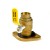 1" SWT Isolator Valve w/ Rotating Flange