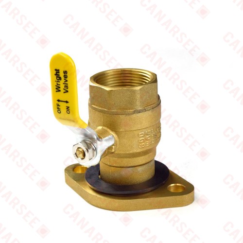 1-1/4" Threaded Isolator Valve w/ Rotating Flange