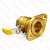 1-1/4" Threaded Isolator Valve w/ Rotating Flange