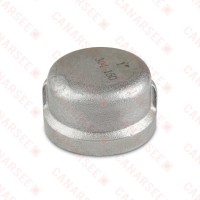 1" 304 Stainless Steel Cap, FNPT threaded