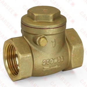 1" Threaded Swing Check Valve, Lead-Free