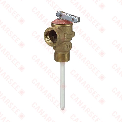 3/4” Pressure Relief Valve w/ 4” probe