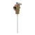 3/4” Temperature & Pressure Relief Valve w/ 8” probe