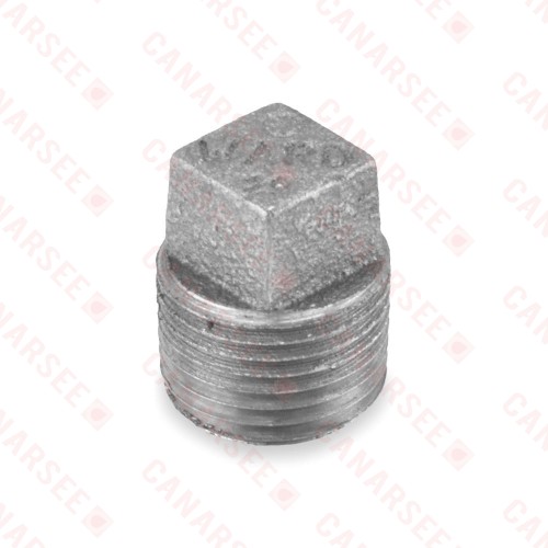 1/2" Black Plug