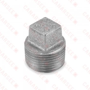 3/4" Black Plug