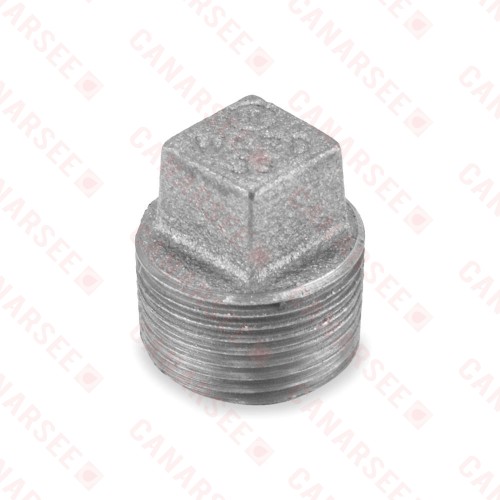 3/4" Black Plug