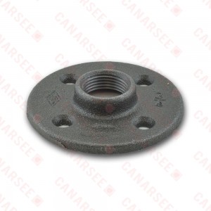 3/4” Black Floor Flange 