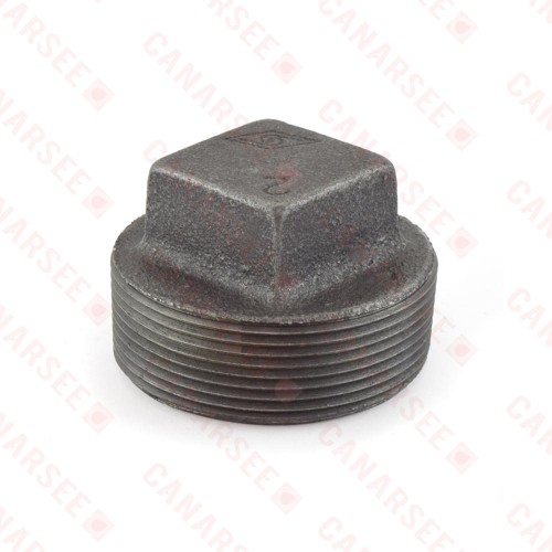 2” Black Plug