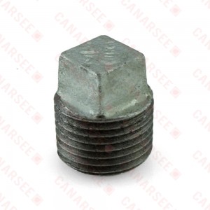 1/2" Galvanized Plug