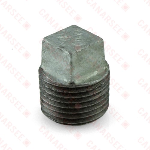 1/2" Galvanized Plug