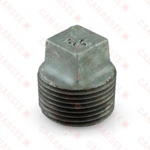 3/4" Galvanized Plug