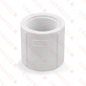 1-1/4" PVC (Sch. 40) FIP x FIP Coupling