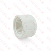 3/4" PVC (Sch. 40) FIP Cap