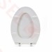 Bemis 1900SS Commerical Plastic Elongated Toilet Seat w/ Self-Sustaining Stainless Steel Hinges, Heavy-Duty