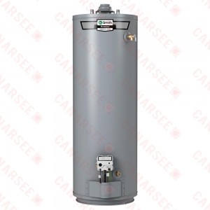 40 Gallon ProLine Atmospheric Vent Water Heater (Natural Gas), 10-Year Warranty