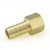 1/2” Hose Barb x 3/8” Female Threaded Adapter, Brass