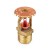 TY-B Upright Fire Sprinkler Head, Standard Response, K=5.6, Rough Brass, 155°F, 1/2" NPT